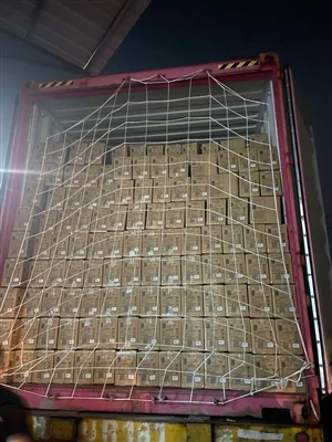 ZGS 25,230pcs گلاس لنچ باکس شپنگ شروع کریں!
